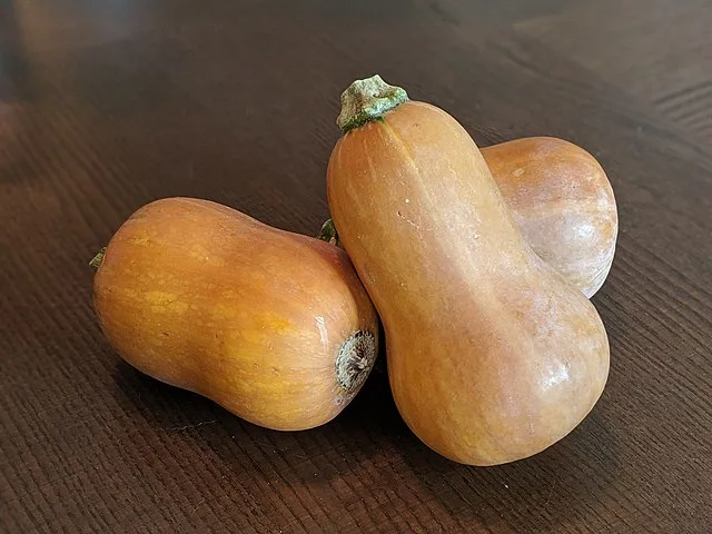Honeynut squash 'Honeynut'