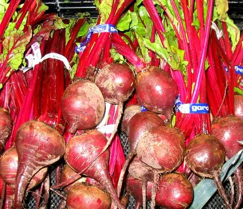 Beet