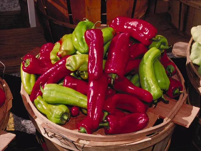 Sweet pepper 'Cubanelle'